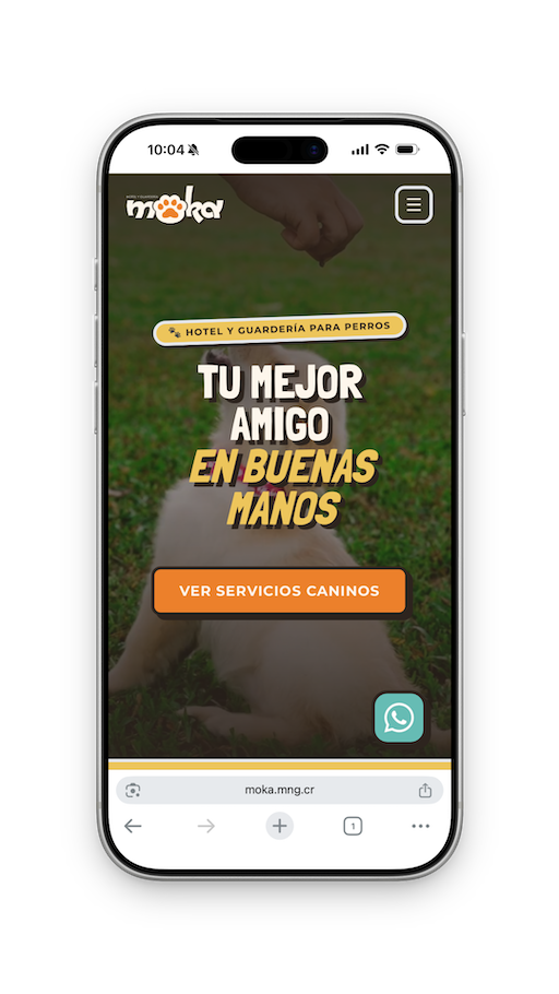 Ejemplo de sitios web diseñados por Mango Digital